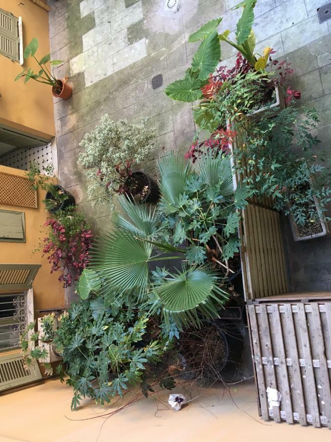 Heart Of Nice Harboor Cosy And Central Екстер'єр фото